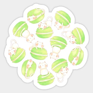 Matcha Macarons & Kittens Sticker